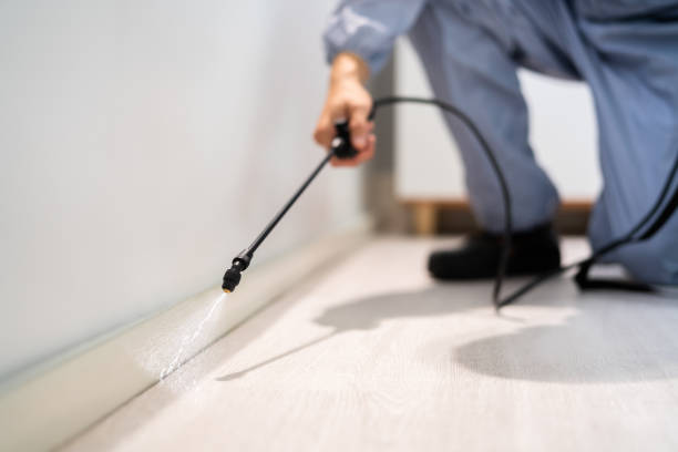 Rodent Entry Point Assessment in Harrisonville