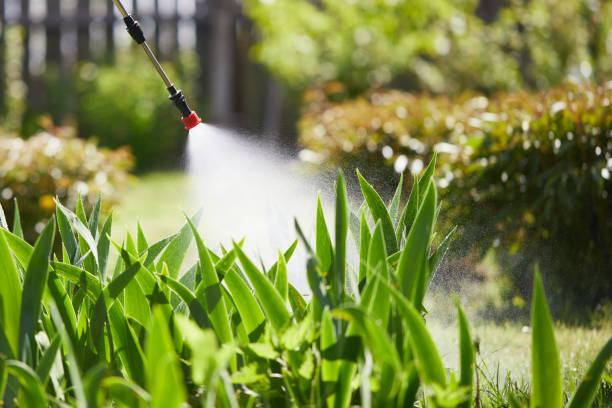 Tamper-Resistant Bait Stations for Rodents in Harrisonville