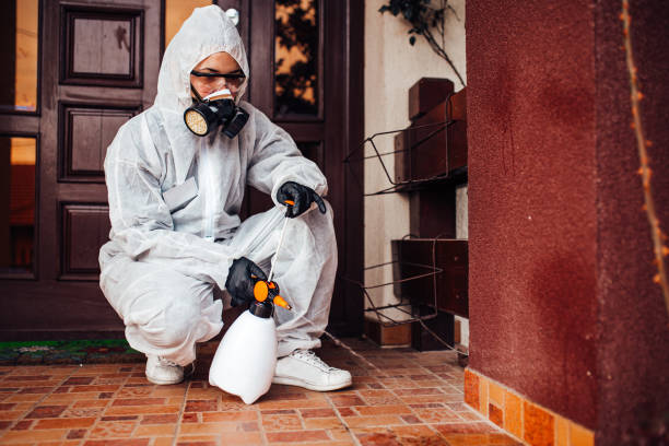 Attic and Crawl Space Rodent Treatment in Harrisonville